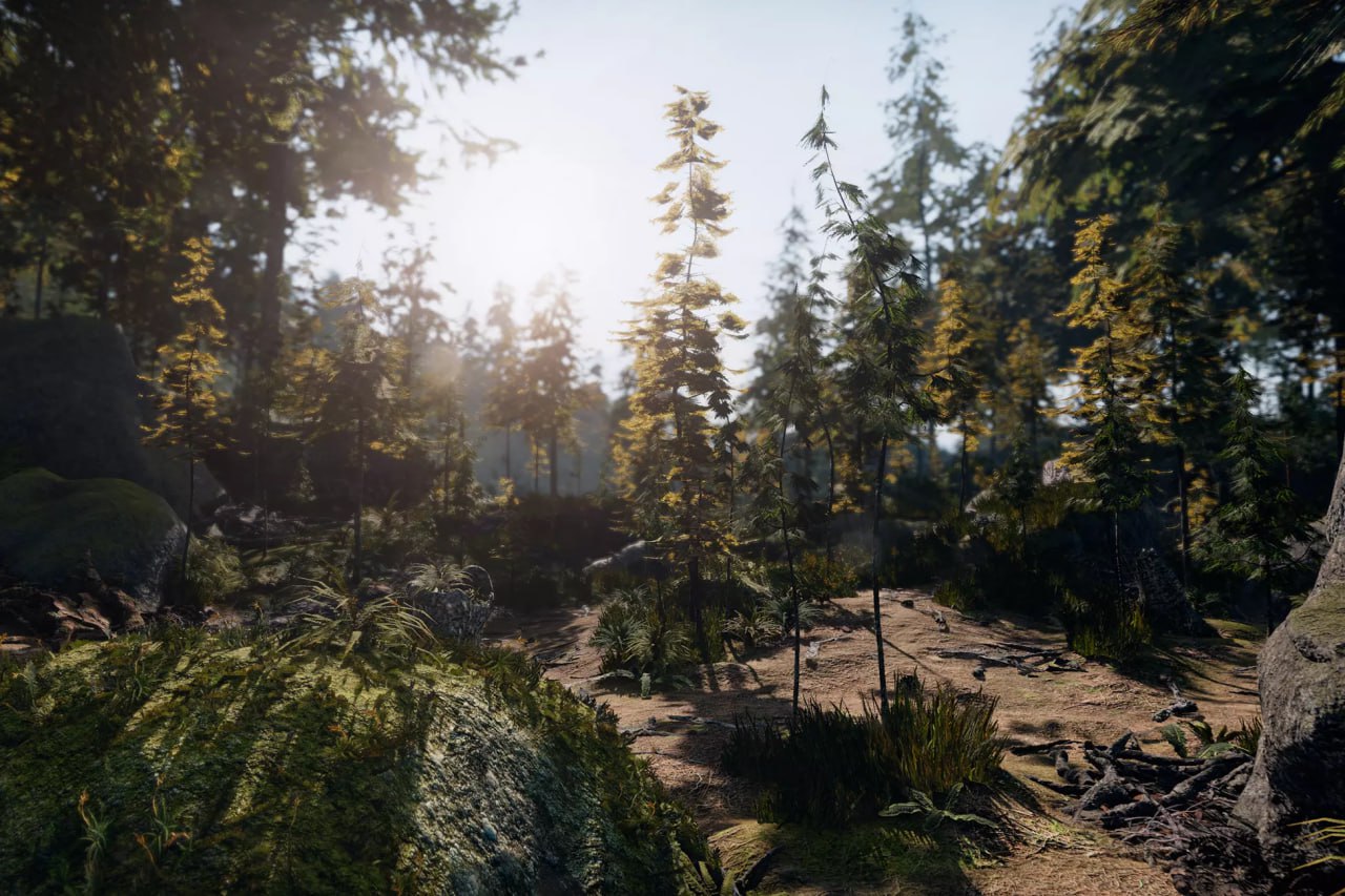 C.V.P - Pine Woods📱