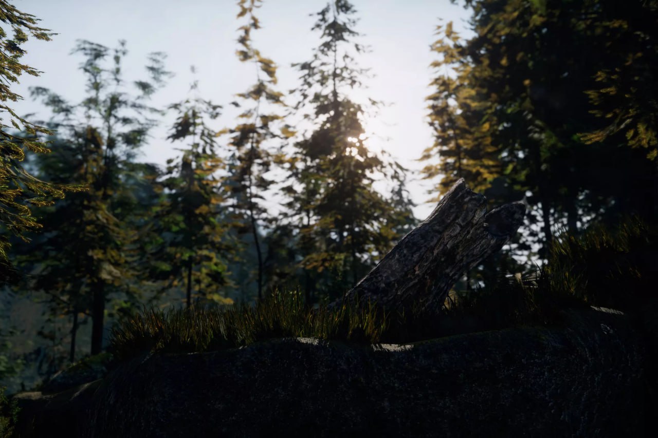 C.V.P - Pine Woods📱 - изображение 2