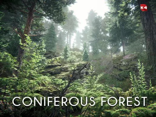 Coniferous Forest📱