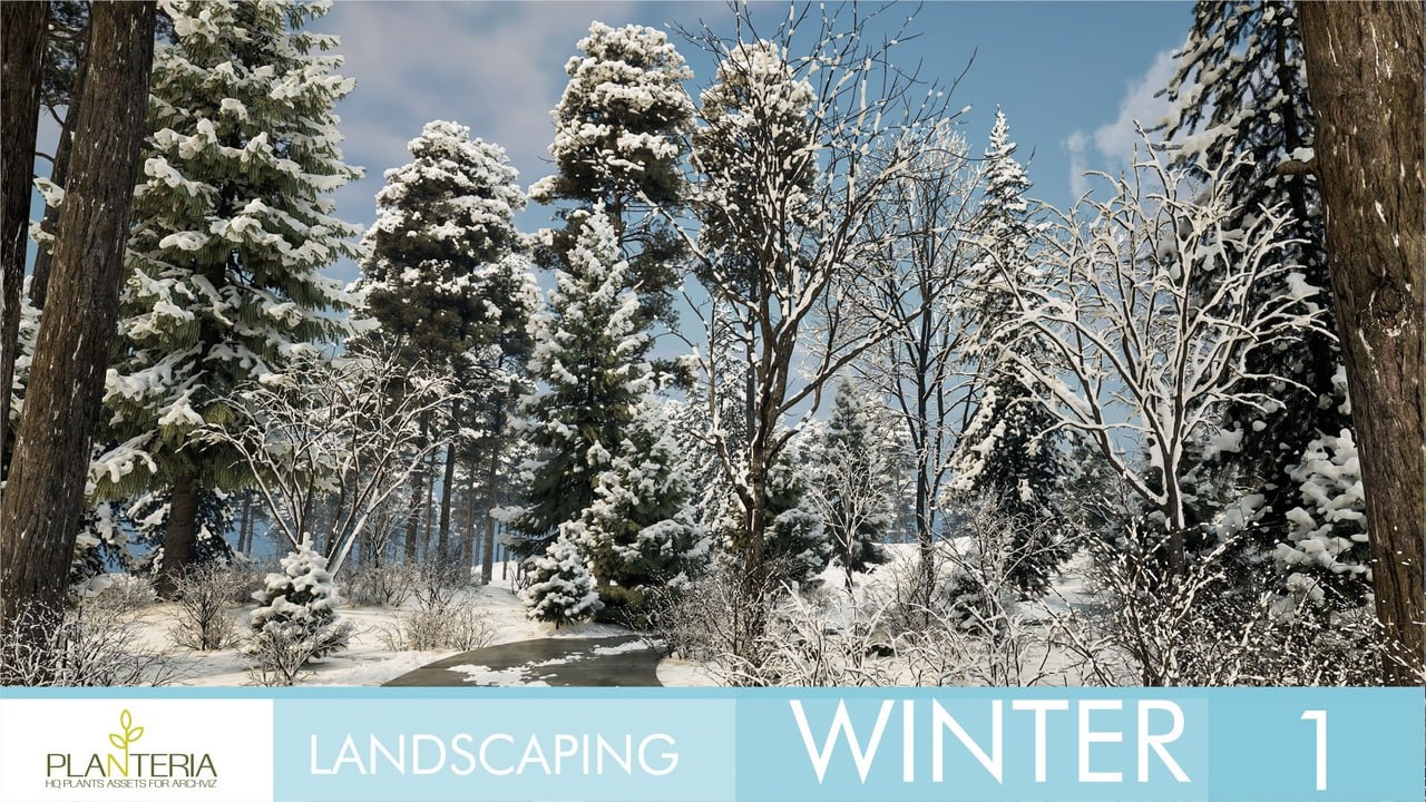 Landscaping Winter 1📱