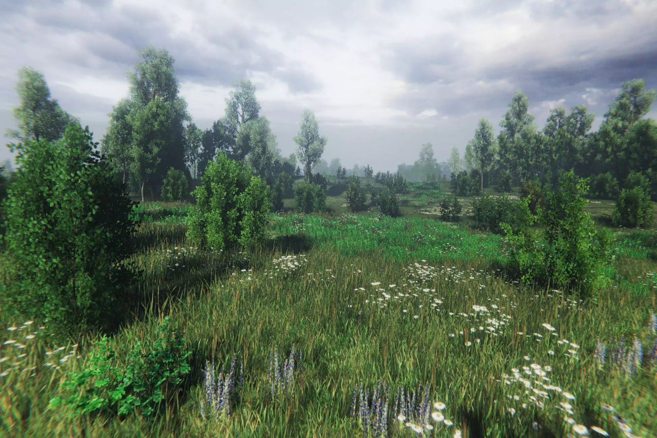 Nature Package - Swamp Forest Environment📱