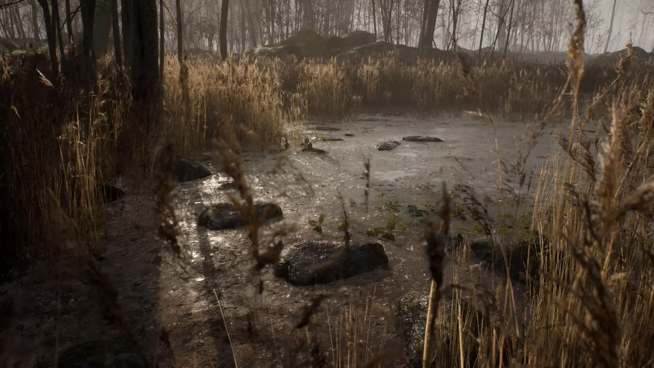 Procedural Forest📱