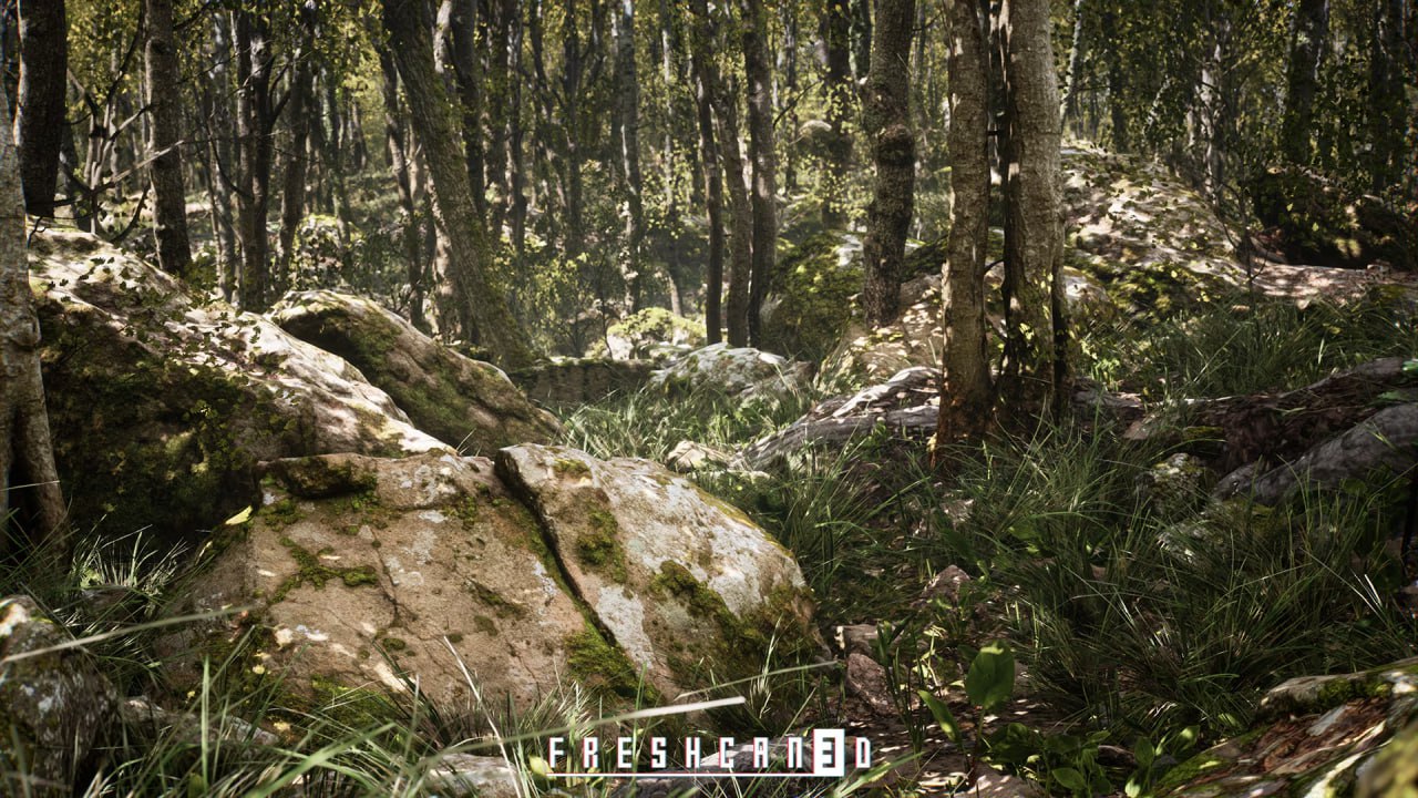 Procedural Oak Forest📱