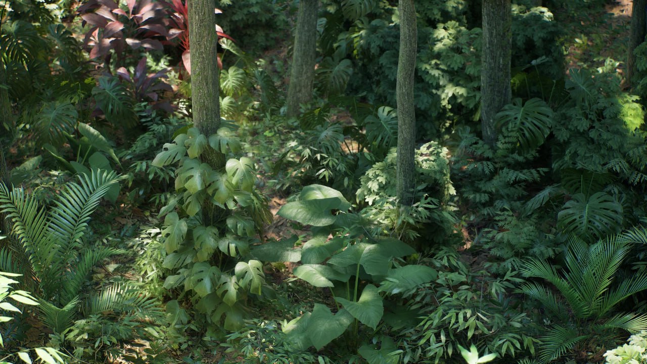 Rain Forest Pack📱 - изображение 3