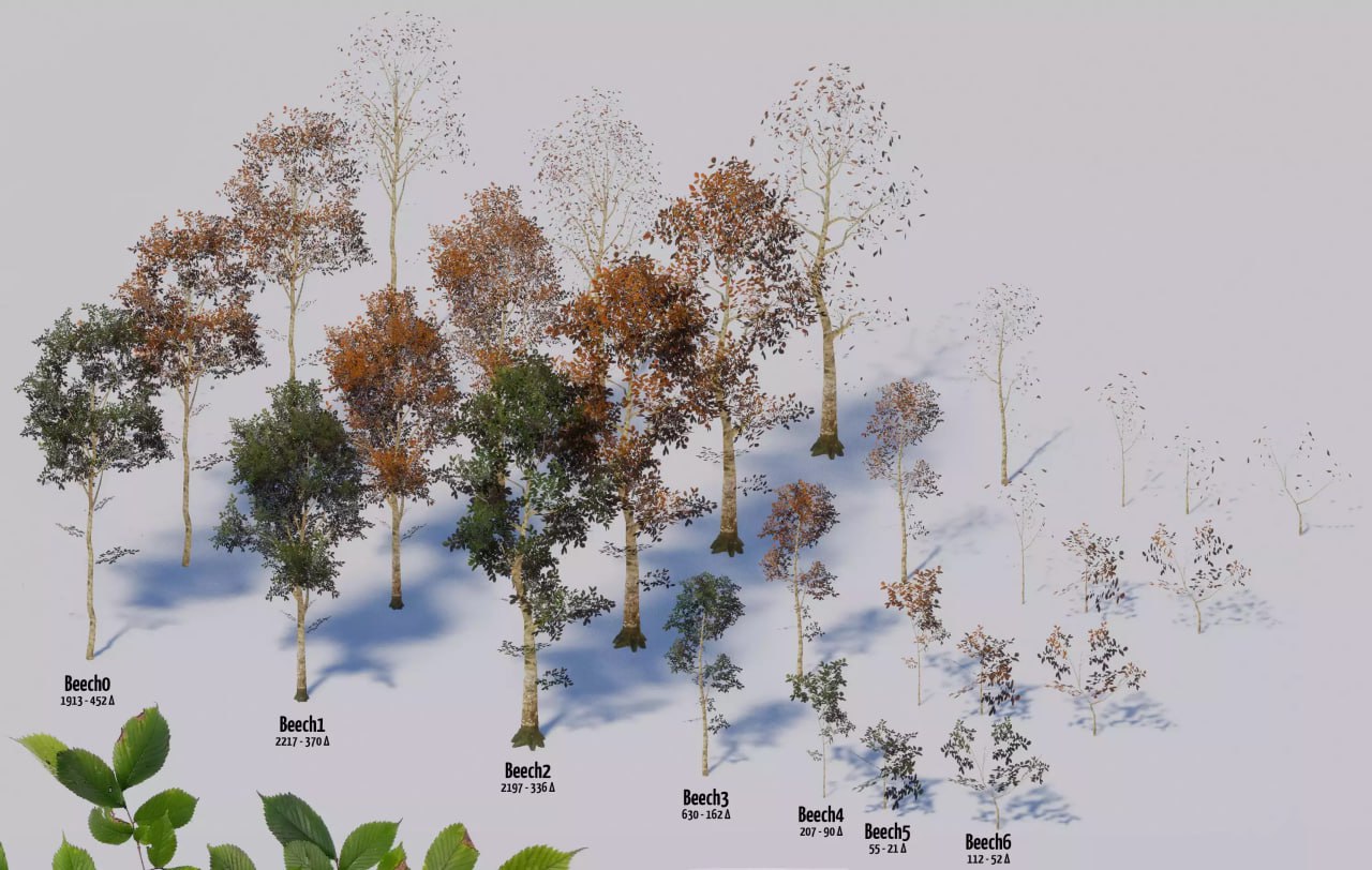 Seasonal Forest📱 - изображение 4