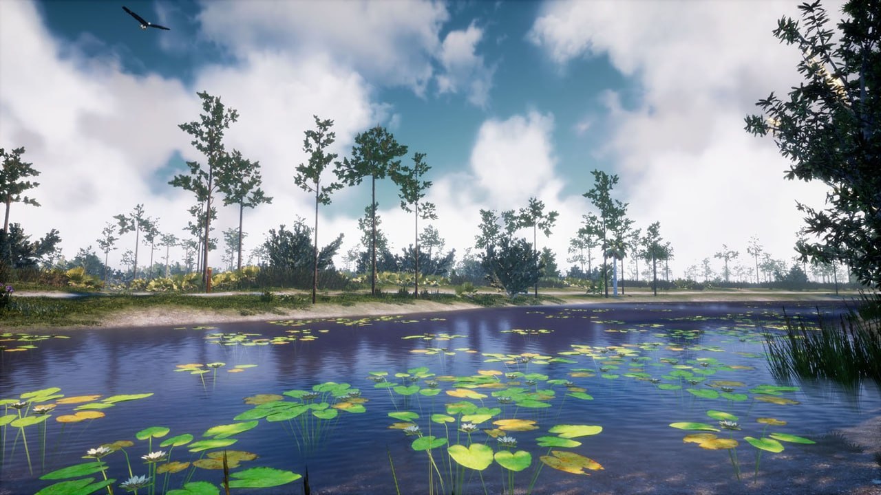 Southeastern US Plants and Ecosystems📱