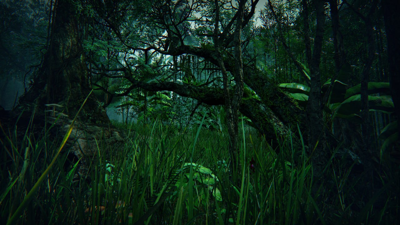 Tropical Forest📱 - изображение 3